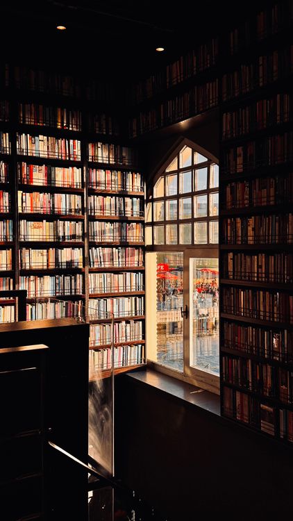Sunlit library bookshelves